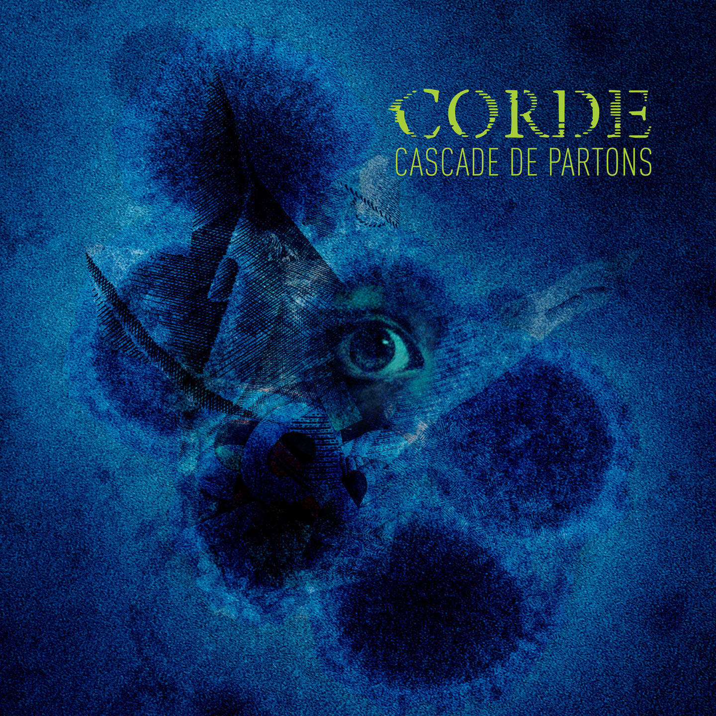 CASCADE DE PARTONS